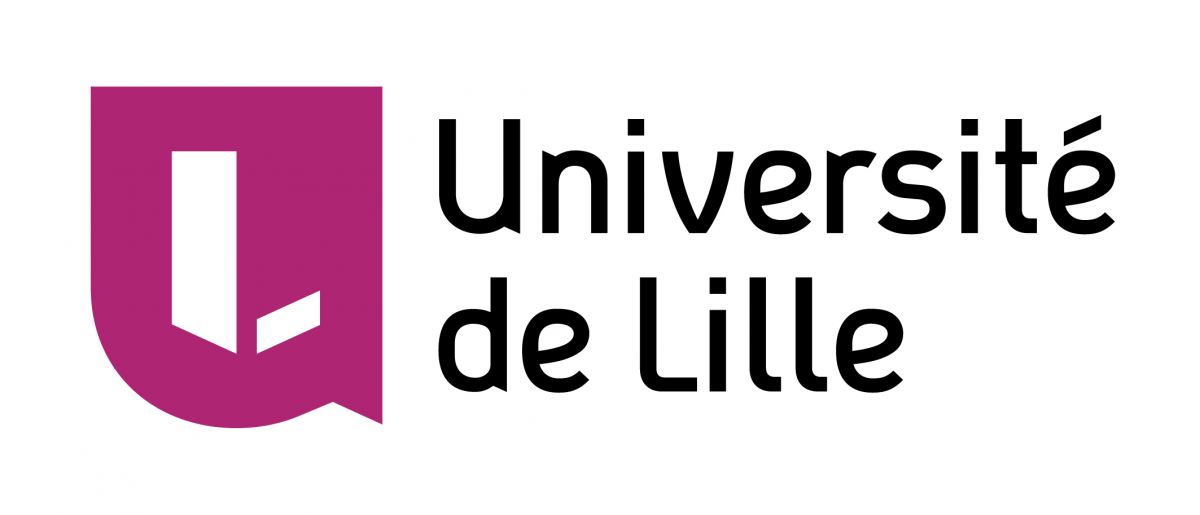 You are currently viewing Cours du FLE à l’université de Lille